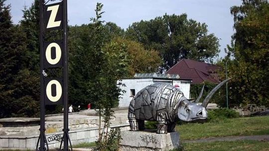 ZOO w Zamościu zbiera żołędzie