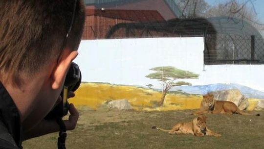 ZOO w Zamościu zmieniło się nie do poznania. W poniedziałek za darmo