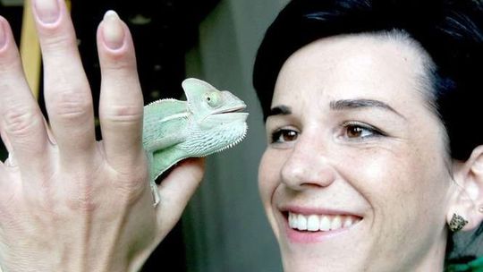 Zoom Natury: Dużo nowości nad zalewem w Janowie Lubelskim