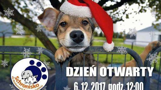 Zoomikołajki w lubelskim schronisku dla zwierząt