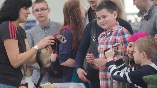 ZOOPARK w Lublinie. Musieli wstrzymać sprzedaż biletów. Ogromne zainteresowanie [zdjęcia]