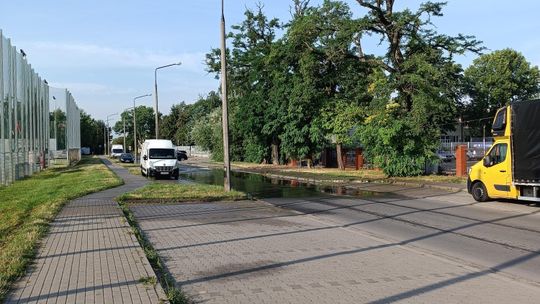 Zraszacze przy boisku rugby zalewają ulicę Bazylianówka. Klub zapowiada korektę ustawień