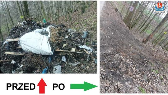 Zrobił śmietnik z prywatnej działki. Nie uszło mu to na sucho 