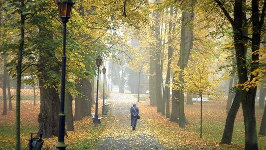 Zrzutka na obwodnicę Nałęczowa