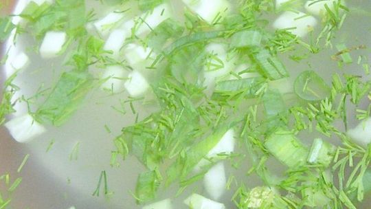 Zupa sałatowa z Wojciechowa