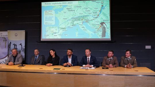 Żurawie spod Urszulina w 10 godzin dotarły na Węgry 