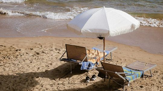 ZUS przyłapał chorych na pracy, wakacjach i za kierownicą. 8700 kontroli w regionie