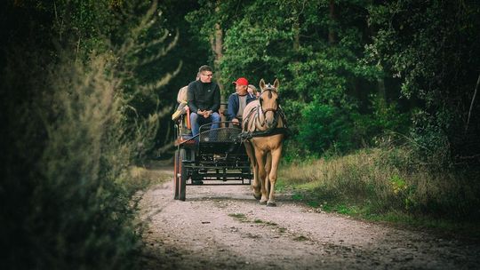 Zwiedzanie bryczką lub meleksem. Gmina szykuje się na turystów 
