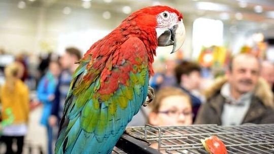 Zwierzaki z całego świata w Lublinie!