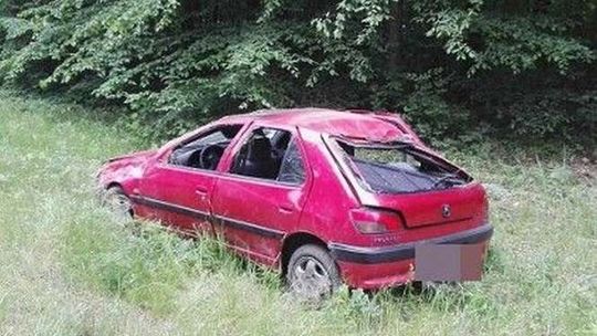 Zwierzę na drodze, samochód w rowie