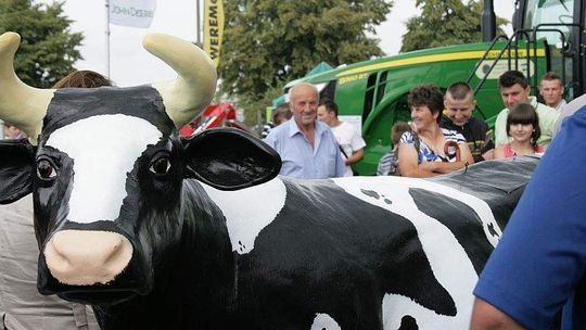 Zwierzęta i sprzęt rolniczy na dniu otwartym LODR w Końskowoli (zdjęcia)