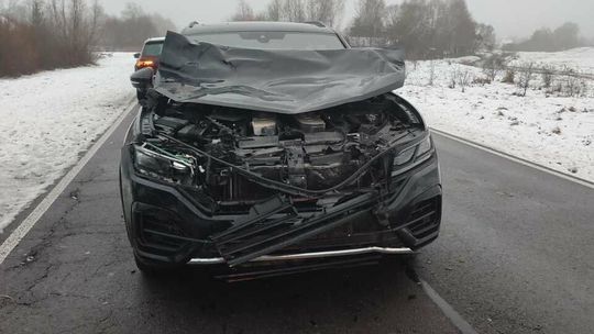 Zwierzęta wpadają pod samochody. Trzeci raz w tym miesiącu