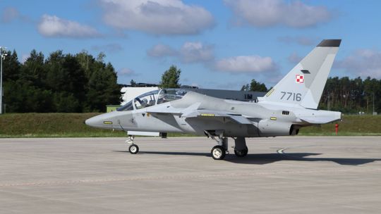 Zwierzęta zagrażają pilotom z Dęblina. Trzeba będzie uśmiercić lisy i borsuki