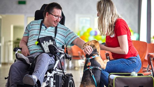 Zwierzęta zmieniają nasze życie na lepsze - Mars Polska wspiera programy adopcyjne, edukacyjne i terapeutyczne