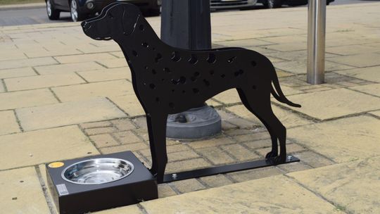 Zwierzętom też chce się pić. W Puławach o tym wiedzą