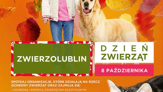 ZwierzoLublin 2017 w Felicity