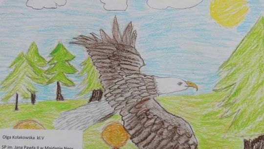 Zwierzyniec. Dzieci patrzą na grzyby, rośliny i zwierzęta