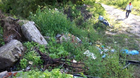 Zwierzyniec: Kamery będą strzegły lasu przed brudasami i złodziejami