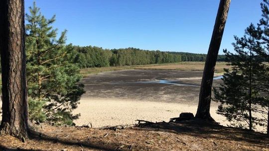 Zwierzyniec: Stawy Echo to już nie stawy. Kąpielisko stało się rowem z wodą