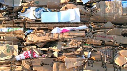 Zwierzyniec: Umowy bez wypowiedzenia