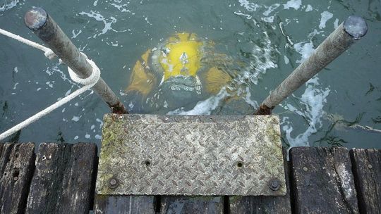 Zwłoki wyłowione z morza. DNA wskazuje na 28-latkę z Lubartowa