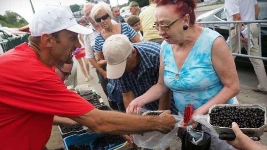 Zwolennicy JOW-ów rozdawali porzeczki na targu w Lublinie