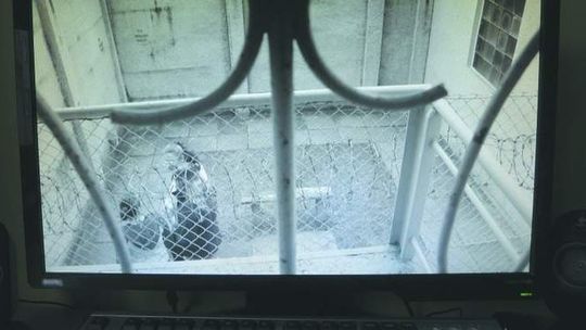 Życie kobiet w polskim areszcie i inne najciekawsze reportaże