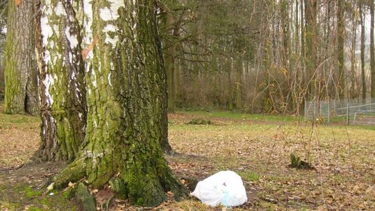 Żyrzyn szykuje wypoczynkowy raj