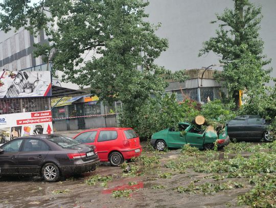 126 interwencji straży pożarnej z powodu sobotnich wichur; służby w gotowości