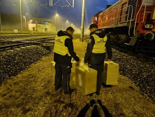 15 tys. paczek papierosów w kontenerze. Rentgen dał im popalić 15 tys. paczek papierosów w kontenerze. Rentgen dał im popalić