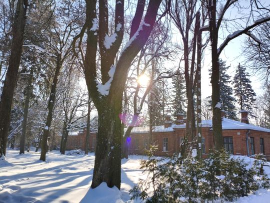 162 miliony w zawieszeniu. Spór o Muzeum Wołyńskie w Chełmie trafia na kolejny front