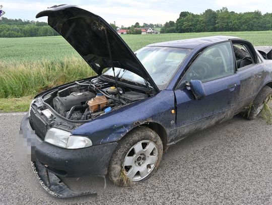19-latek trafił do aresztu po śmiertelnym wypadku. Badania wykazały, że był pijany