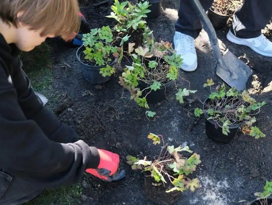 30 pomysłów na deszczówkę. Zielony Budżet wchodzi w fazę ocen