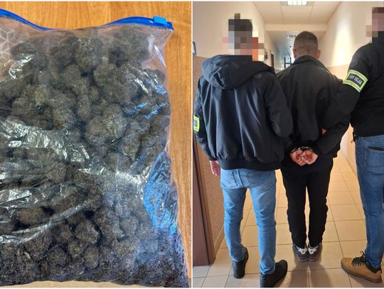 Zabezpieczona marihuana oraz zatrzymanie podejrzanego przez policję