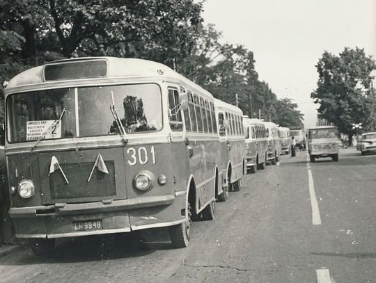50 lat komunikacji miejskiej w Kraśniku. Zabytkowe autobusy, przejazdy dla mieszkańców i rodzinny piknik