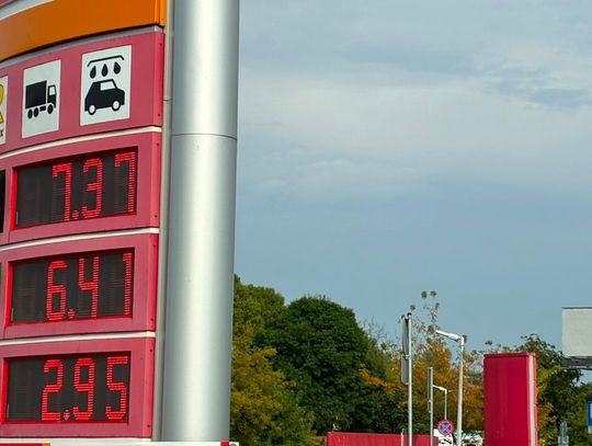 Benzyna jest tańsza. Mieszkańcy „Ceny powinny być niższe na stałe”