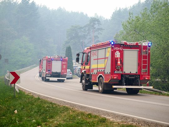 Strażacy nadal dogaszają pożar w Puszczy Solskiej. „Cała reszta puszczy nadal jest sucha”
