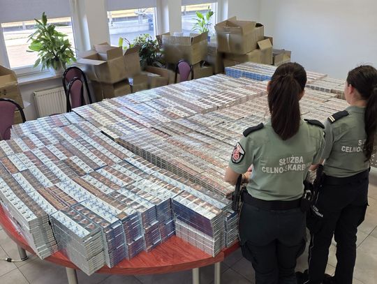 Blisko 48 tys. paczek papierosów ukrytych w kontenerach. Przemyt udaremniono w Małaszewiczach