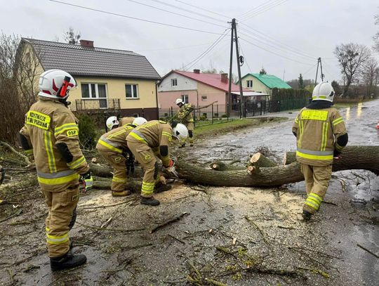 Blisko 600 interwencji i tysiące osób bez prądu. Wojewoda podsumował sytuację pogodową Blisko 600 interwencji i tysiące osób bez prądu. Wojewoda podsumował sytuację pogodową