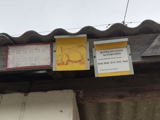 Brak rozkładów jazdy na przystankach. Pasażerowie skarżą się, urząd kontroluje, ale kar brak