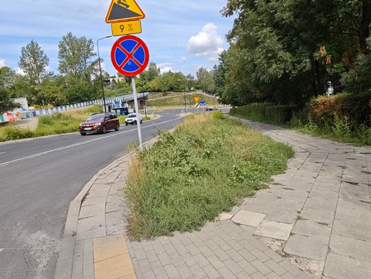 Brak skoszonych traw, czyli (nie)zrównoważone zarządzanie zielenią