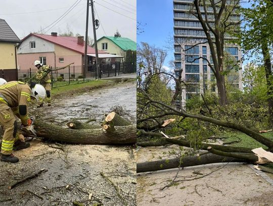 Burze, przewrócone drzewa, jeden ranny. 575 interwencji straży pożarnej