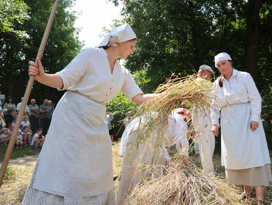 Chcesz działać w skansenie? Muzeum Wsi Lubelskiej szuka wolontariuszy