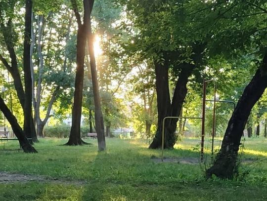 Czternaście ofert, jeden park i wielkie pieniądze. Kto przebuduje Ogródek Jordanowski?