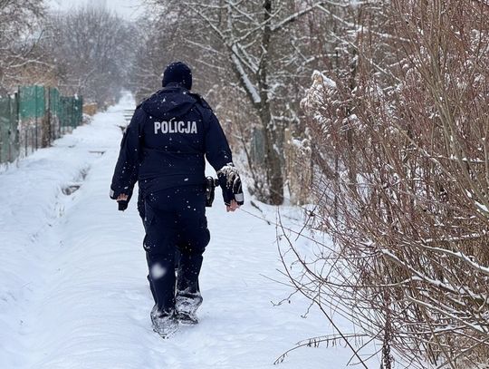 Trzy śmiertelne ofiary mrozów w jeden dzień Trzy śmiertelne ofiary mrozów w jeden dzień