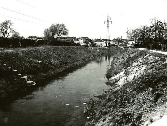 Do szkoły z romskimi dziećmi przez most na Czerniejówce