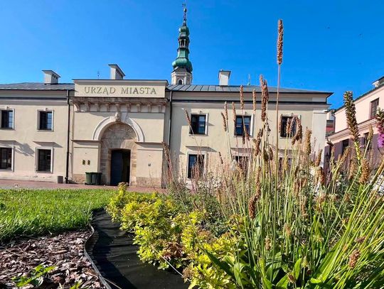 Zamość