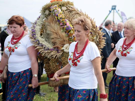 Dożynki wojewódzkie 2026: wiemy kto wystąpi na świdnickiej scenie