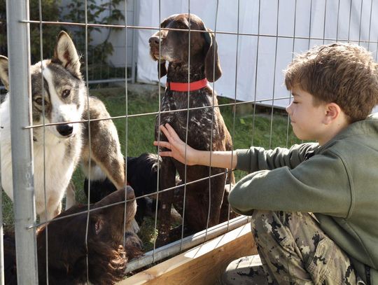 Dzień Otwarty w lubelskim schronisku. Były psy, ptaki drapieżne i rozmowy o egzotycznych zwierzętach