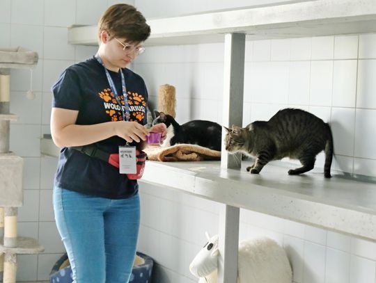 Dzień Otwarty w lubelskim schronisku. Setki zwierząt czekają na pomoc